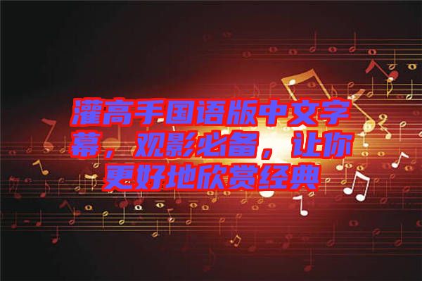 灌高手國語版中文字幕，觀影必備，讓你更好地欣賞經(jīng)典