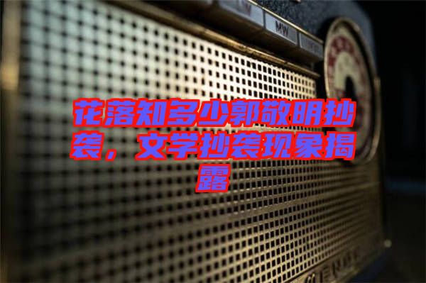 花落知多少郭敬明抄襲，文學(xué)抄襲現(xiàn)象揭露