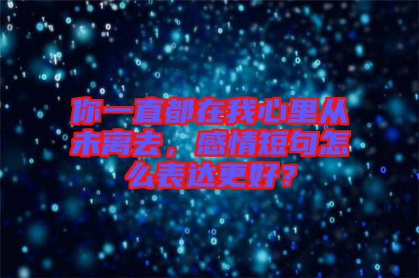 你一直都在我心里從未離去，感情短句怎么表達更好？