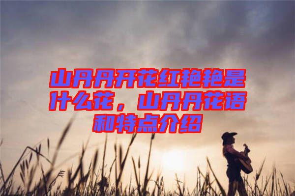 山丹丹開花紅艷艷是什么花，山丹丹花語(yǔ)和特點(diǎn)介紹
