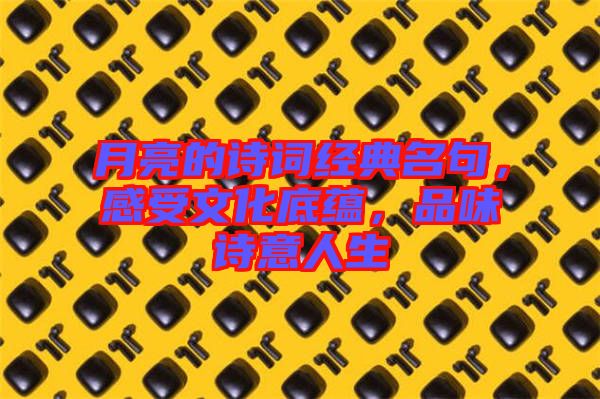 月亮的詩詞經(jīng)典名句，感受文化底蘊，品味詩意人生