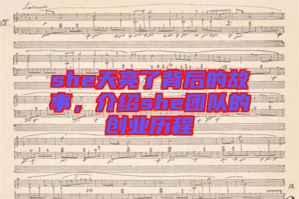 she天亮了背后的故事，介紹she團隊的創(chuàng)業(yè)歷程
