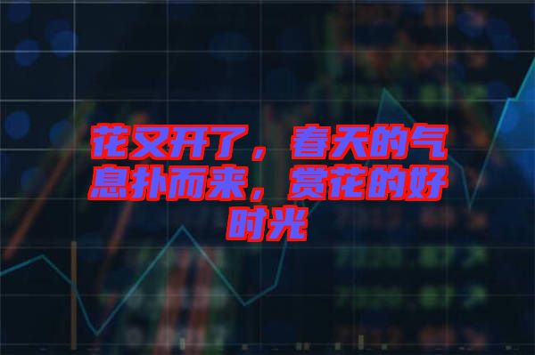 花又開了，春天的氣息撲而來，賞花的好時光