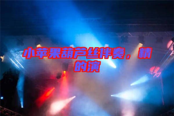 小蘋果葫蘆絲伴奏，精的演