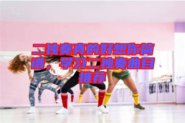 二獨(dú)奏真的好想你簡譜，學(xué)習(xí)二獨(dú)奏曲目推薦