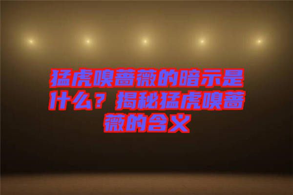 猛虎嗅薔薇的暗示是什么？揭秘猛虎嗅薔薇的含義