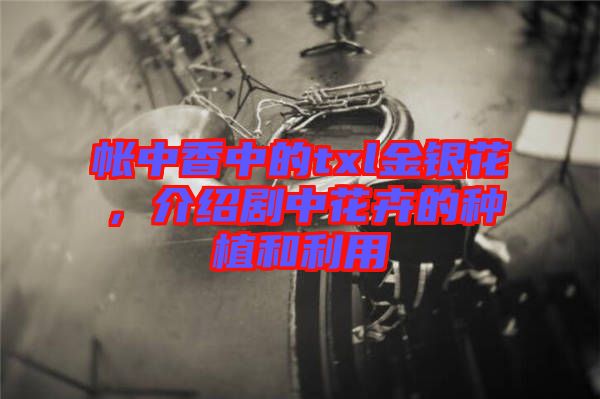 帳中香中的txl金銀花，介紹劇中花卉的種植和利用