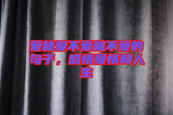 愛就愛不愛就不愛的句子，感悟愛情和人生