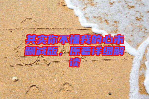 其實你不懂我的心未刪減版，原著詳細(xì)解讀