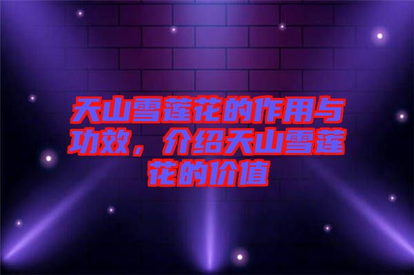 天山雪蓮花的作用與功效，介紹天山雪蓮花的價(jià)值