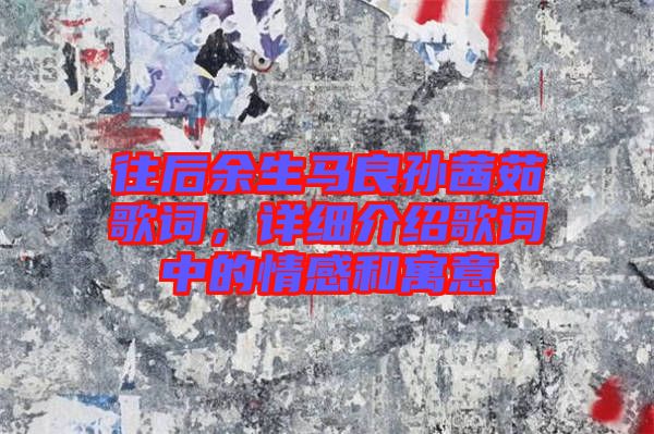 往后余生馬良孫茜茹歌詞，詳細介紹歌詞中的情感和寓意