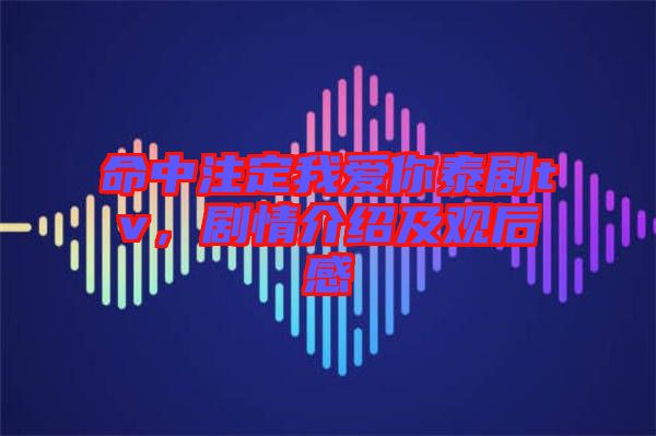 命中注定我愛你泰劇tv，劇情介紹及觀后感