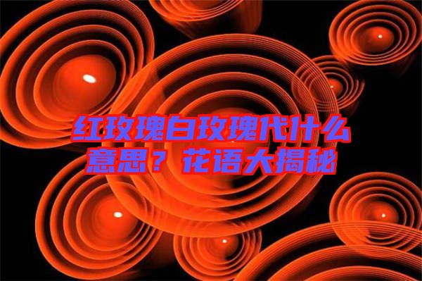 紅玫瑰白玫瑰代什么意思？花語(yǔ)大揭秘