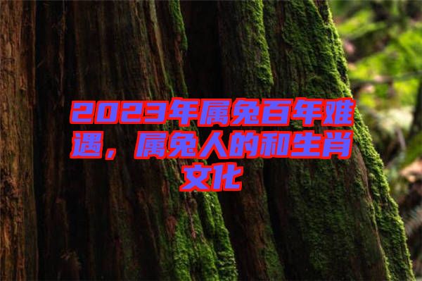 2023年屬兔百年難遇，屬兔人的和生肖文化