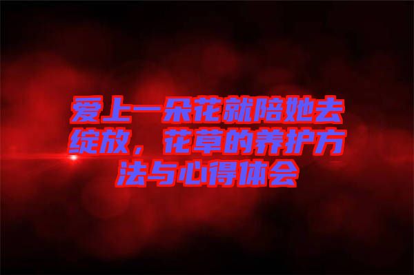 愛(ài)上一朵花就陪她去綻放，花草的養(yǎng)護(hù)方法與心得體會(huì)