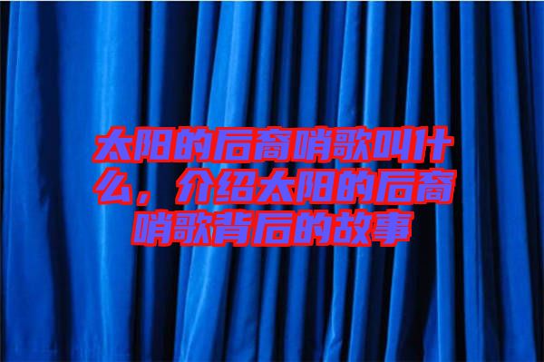 太陽(yáng)的后裔哨歌叫什么，介紹太陽(yáng)的后裔哨歌背后的故事