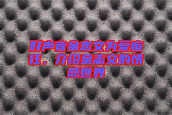 好聲音金志文為愛癡狂，介紹金志文的情感世界