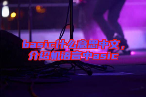 basic什么意思中文，介紹機語言中asic