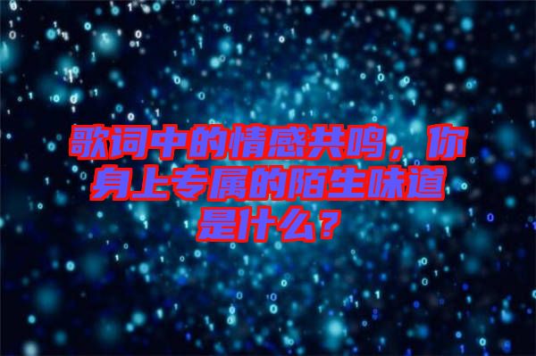 歌詞中的情感共鳴，你身上專屬的陌生味道是什么？