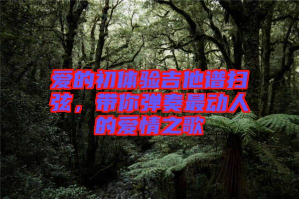 愛的初體驗(yàn)吉他譜掃弦，帶你彈奏最動人的愛情之歌