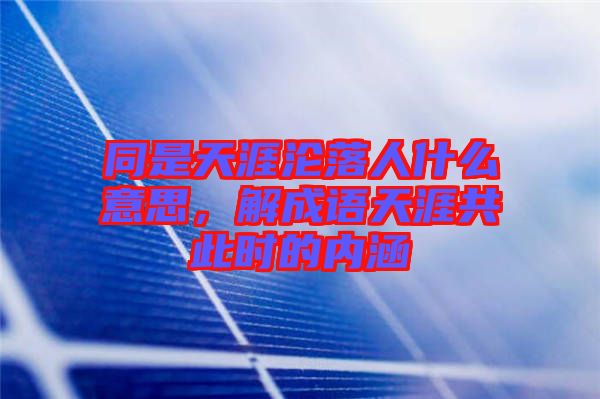 同是天涯淪落人什么意思，解成語天涯共此時(shí)的內(nèi)涵