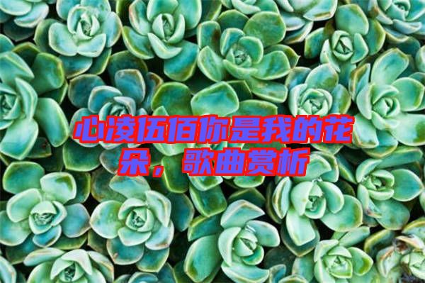 心凌伍佰你是我的花朵，歌曲賞析