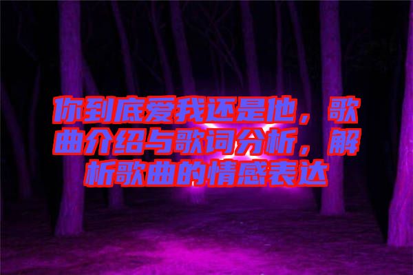 你到底愛我還是他，歌曲介紹與歌詞分析，解析歌曲的情感表達