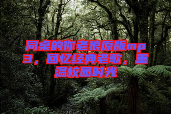 同桌的你老狼原版mp3，回憶經(jīng)典老歌，重溫校園時(shí)光