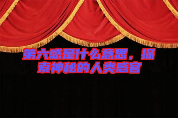 第六感是什么意思，探索神秘的人類感官