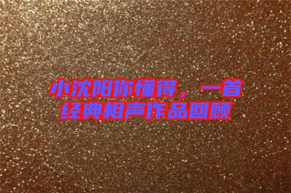小沈陽你懂得，一首經(jīng)典相聲作品回顧