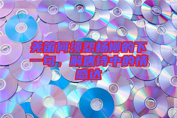 羌笛何須怨楊柳的下一句，解唐詩中的情感達(dá)