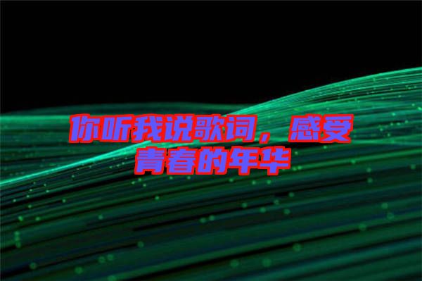 你聽我說歌詞，感受青春的年華