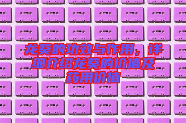 龍葵的功效與作用，詳細(xì)介紹龍葵的價(jià)值及藥用價(jià)值