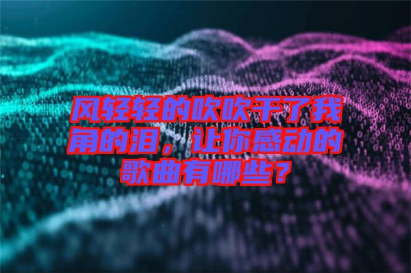 風(fēng)輕輕的吹吹干了我角的淚，讓你感動(dòng)的歌曲有哪些？