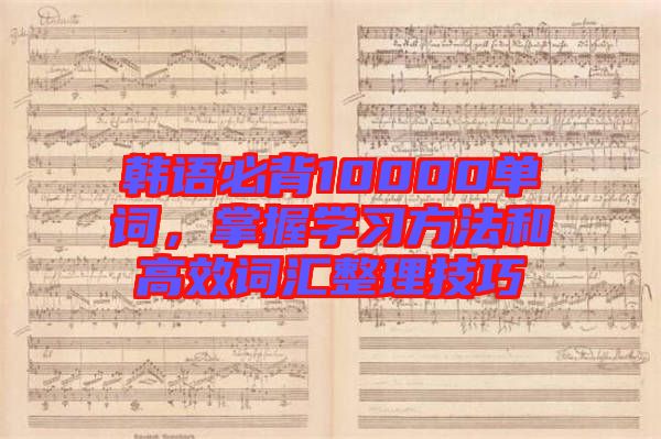 韓語必背10000單詞，掌握學(xué)習(xí)方法和高效詞匯整理技巧