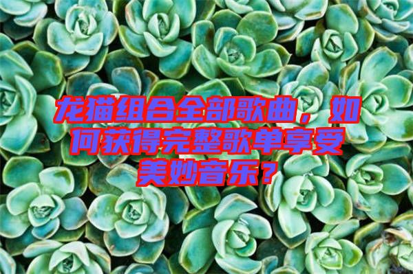 龍貓組合全部歌曲，如何獲得完整歌單享受美妙音樂？