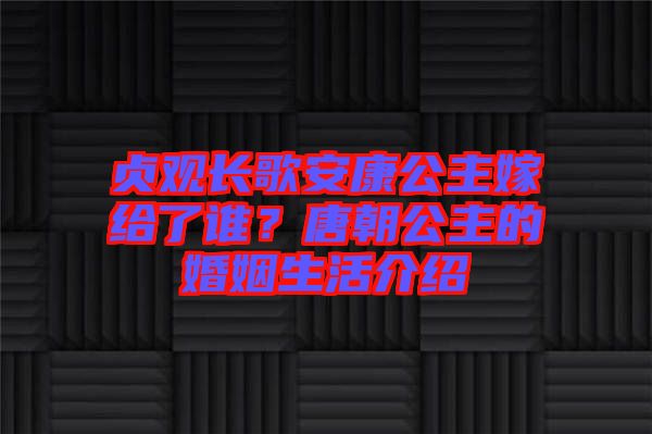 貞觀長歌安康公主嫁給了誰？唐朝公主的婚姻生活介紹
