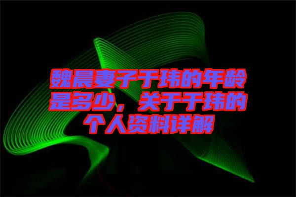 魏晨妻子于瑋的年齡是多少，關于于瑋的個人資料詳解