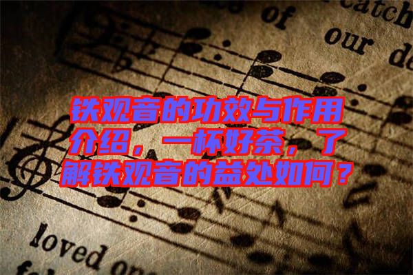 鐵觀音的功效與作用介紹，一杯好茶，了解鐵觀音的益處如何？