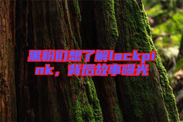 黑粉們想了解lackpink，背后故事曝光