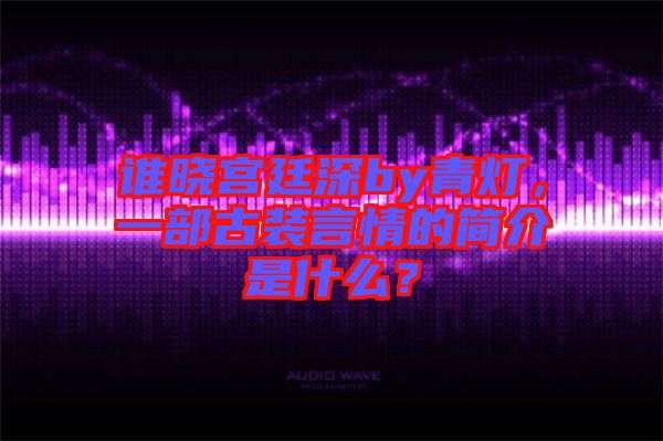 誰曉宮廷深by青燈，一部古裝言情的簡介是什么？