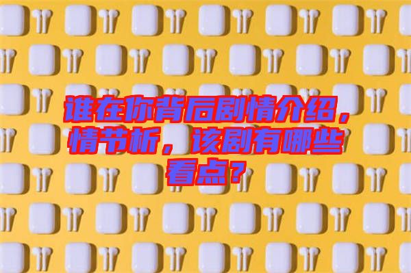 誰(shuí)在你背后劇情介紹，情節(jié)析，該劇有哪些看點(diǎn)？