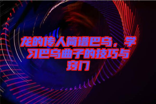 龍的傳人簡譜巴烏，學(xué)習(xí)巴烏曲子的技巧與竅門