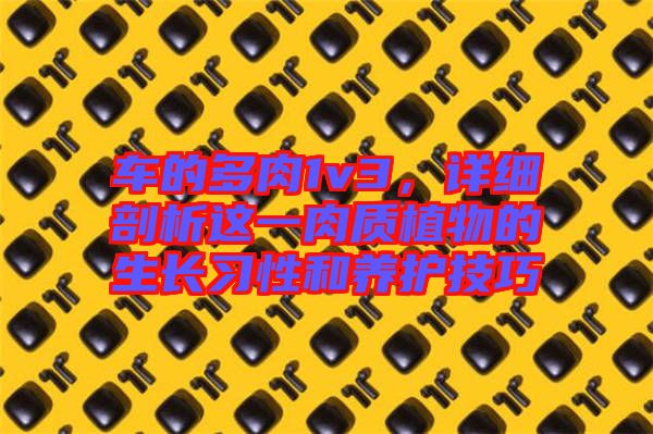 車的多肉1v3，詳細(xì)剖析這一肉質(zhì)植物的生長習(xí)性和養(yǎng)護(hù)技巧