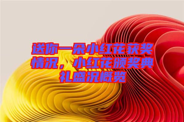送你一朵小紅花獲獎情況，小紅花頒獎典禮盛況概覽