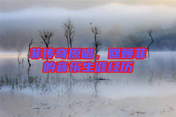 菲傳奇原唱，回顧菲的音樂生涯經(jīng)歷