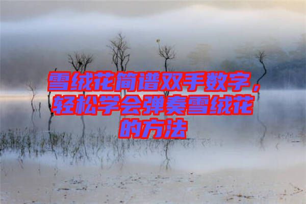 雪絨花簡譜雙手?jǐn)?shù)字，輕松學(xué)會(huì)彈奏雪絨花的方法