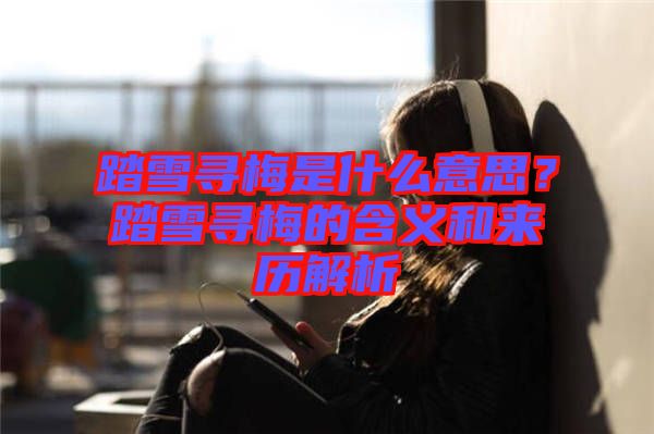 踏雪尋梅是什么意思？踏雪尋梅的含義和來歷解析