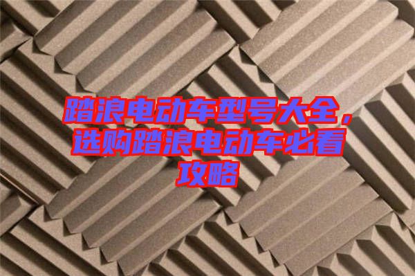 踏浪電動車型號大全，選購踏浪電動車必看攻略