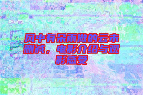 風(fēng)中有朵雨做的云未刪減，電影介紹與觀影感受